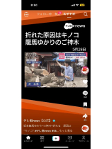 PURITY - ほたるの女の子ブログ画像