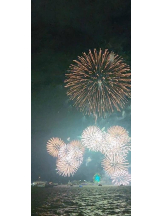 PURITY - ほたるの女の子ブログ画像