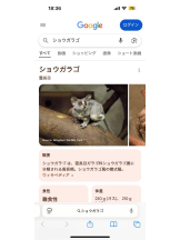 PURITY - ほたるの女の子ブログ画像