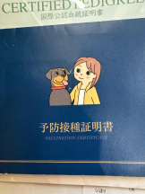 PURITY - ほたるの女の子ブログ画像