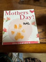 PURITY - ほたるの女の子ブログ画像