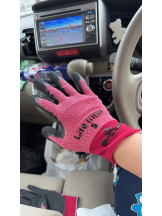 PURITY - ほたるの女の子ブログ画像