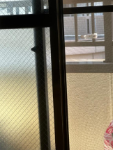 PURITY - ほたるの女の子ブログ画像