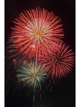 PURITY - ほたるの女の子ブログ画像