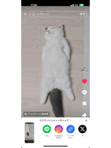 PURITY - ほたるの女の子ブログ画像