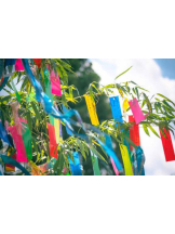 PURITY - ほたるの女の子ブログ画像