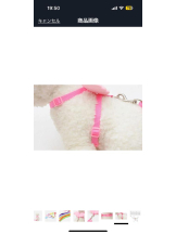 PURITY - ほたるの女の子ブログ画像