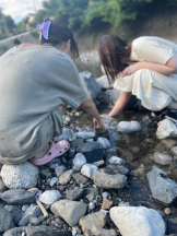 PURITY - ほたるの女の子ブログ画像