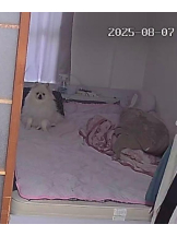 PURITY - ほたるの女の子ブログ画像