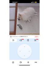 PURITY - ほたるの女の子ブログ画像