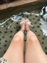 PURITY - ほたるの女の子ブログ画像