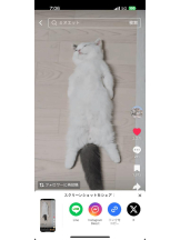 PURITY - ほたるの女の子ブログ画像