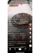 PURITY - ほたるの女の子ブログ画像