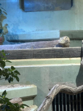 PURITY - ほたるの女の子ブログ画像