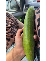 PURITY - ほたるの女の子ブログ画像