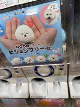 PURITY - ほたるの女の子ブログ画像