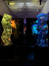 PURITY - ほたるの女の子ブログ画像