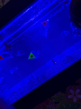 PURITY - ほたるの女の子ブログ画像