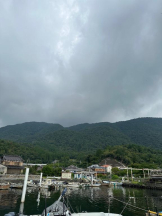 PURITY - ほたるの女の子ブログ画像