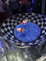 PURITY - ほたるの女の子ブログ画像