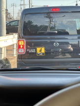 PURITY - ほたるの女の子ブログ画像