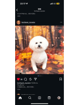 PURITY - ほたるの女の子ブログ画像