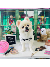 PURITY - ほたるの女の子ブログ画像