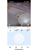 PURITY - ほたるの女の子ブログ画像