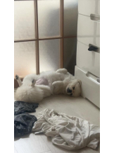 PURITY - ほたるの女の子ブログ画像