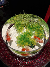 PURITY - ほたるの女の子ブログ画像