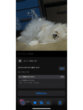 PURITY - ほたるの女の子ブログ画像