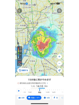 PURITY - ほたるの女の子ブログ画像