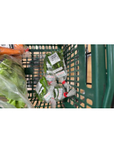 PURITY - ほたるの女の子ブログ画像