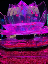 PURITY - ほたるの女の子ブログ画像