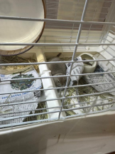 PURITY - ほたるの女の子ブログ画像