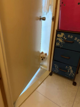 PURITY - ほたるの女の子ブログ画像