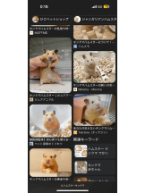 PURITY - ほたるの女の子ブログ画像