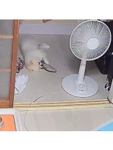 PURITY - ほたるの女の子ブログ画像