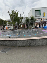 PURITY - ほたるの女の子ブログ画像