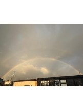 PURITY - ほたるの女の子ブログ画像