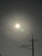 PURITY - ほたるの女の子ブログ画像