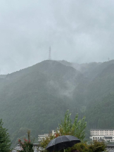 PURITY - ほたるの女の子ブログ画像