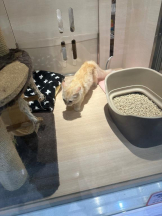 PURITY - ほたるの女の子ブログ画像