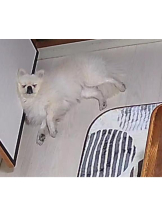 PURITY - ほたるの女の子ブログ画像