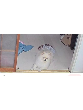 PURITY - ほたるの女の子ブログ画像