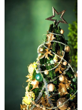 PURITY - ほたるの女の子ブログ画像