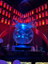 PURITY - ほたるの女の子ブログ画像