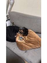 PURITY - ほたるの女の子ブログ画像