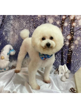 PURITY - ほたるの女の子ブログ画像