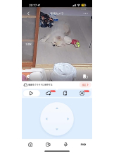 PURITY - ほたるの女の子ブログ画像